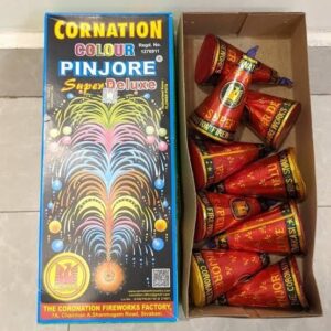 Anar Cone Pinjore Cornation