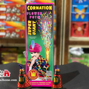 Anar cone super giant cornation
